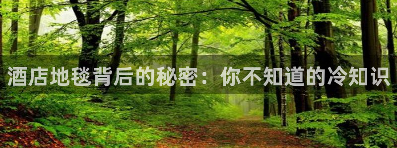 凯发网娱乐官网登录