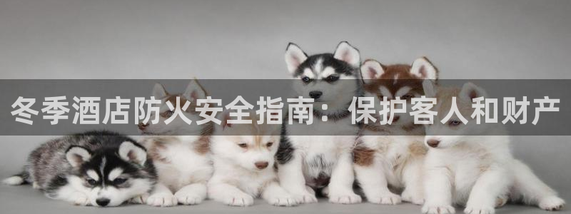 凯发最新网站